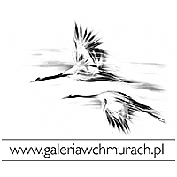 www.galeriawchmurach.pl