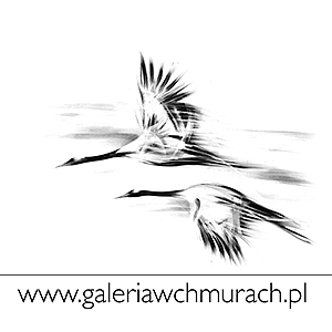 www.galeriawchmurach.pl