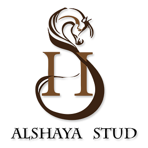 Alshaya Stud