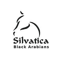 Silvatica Black Arabians